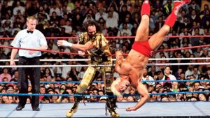 savage-flair-wm8